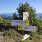 Ruta senderista: Subida al pico Campanilles - Peñíscola